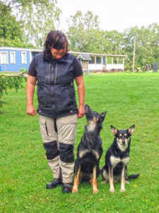 Annica Karlsson med en av sina egna hundar och en kompis hund. 