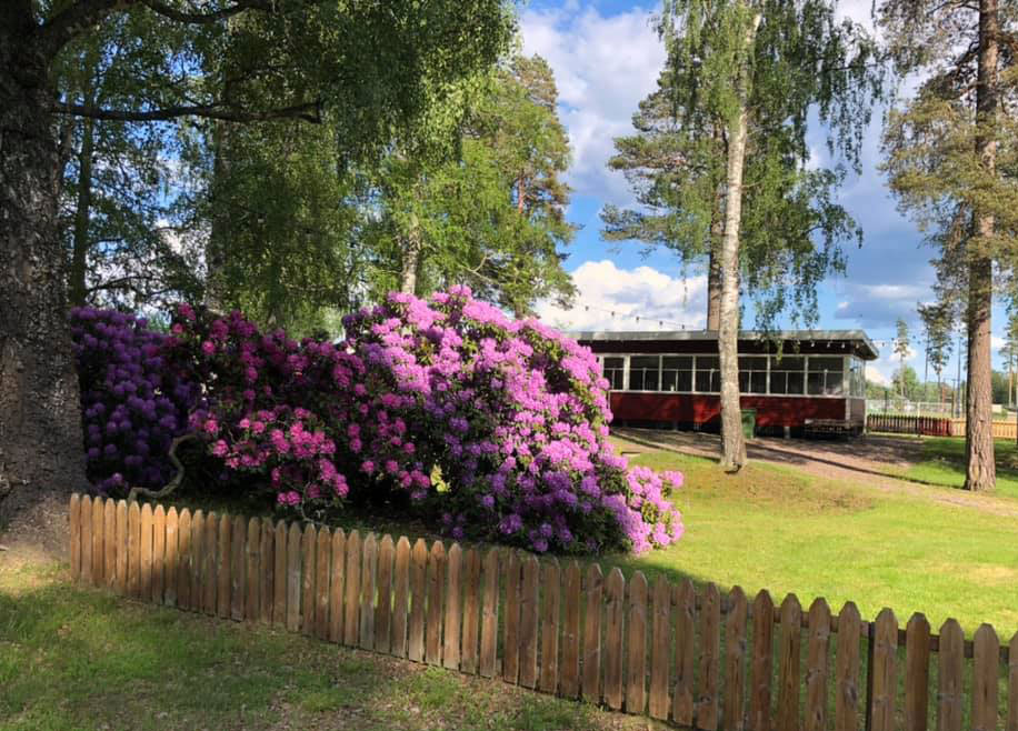 Kafeterian i Forshaga Folkets park. Foto: Forshaga Folkets parkföreningen