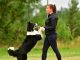 Pernilla Pöykiöniemi och hennes bordercollie Lexus. Foto: Anhelee Pugliano.